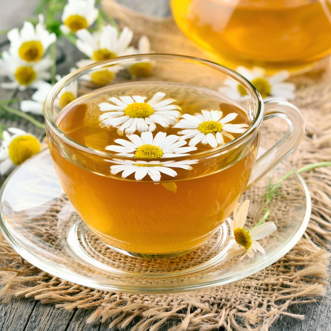 tasse transparente contenant de la camomille avec en décoration des pâquerettes